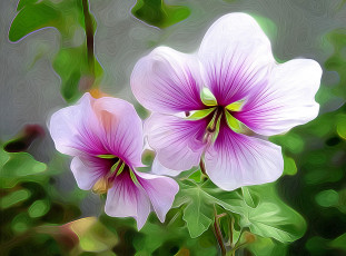 Картинка разное компьютерный+дизайн цветы