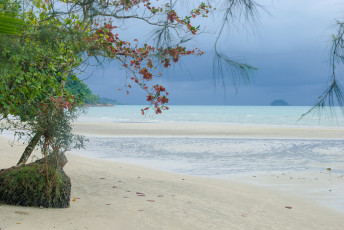 Картинка природа побережье