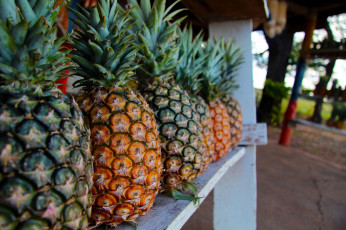 Картинка еда ананас ananas