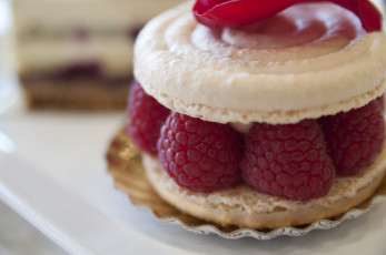 Картинка еда пирожные +кексы +печенье малина печенье