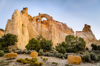 Картинка природа горы деревья скалы