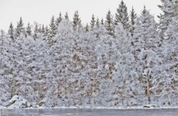 Картинка природа зима