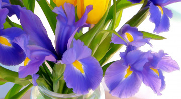 Картинка рисованные цветы ирис