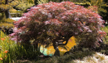 Картинка разное компьютерный+дизайн дерево