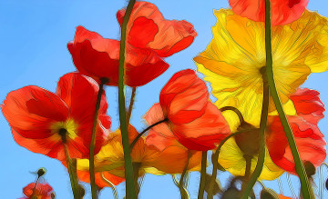 Картинка разное компьютерный+дизайн цветы маки