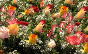 Картинка разное компьютерный+дизайн цветы розы