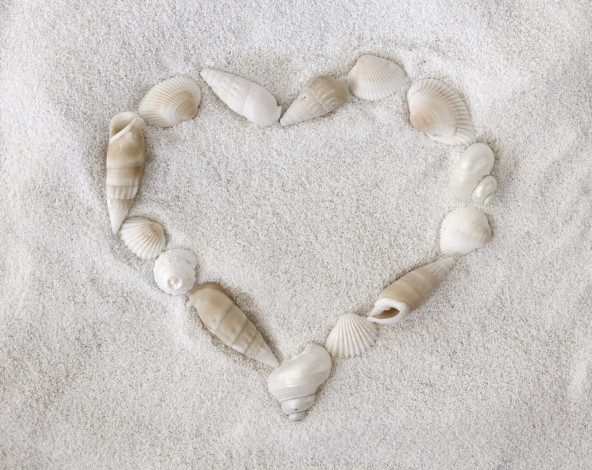 Обои картинки фото разное, ракушки,  кораллы,  декоративные и spa-камни, сердце, песок