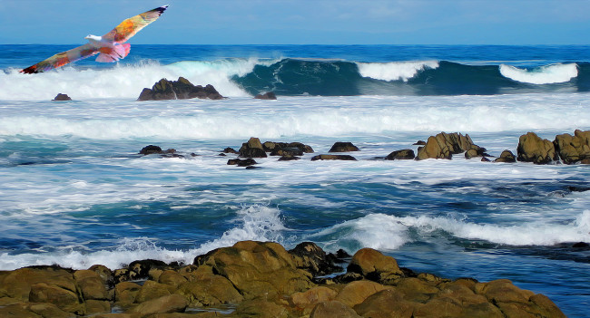 Обои картинки фото разное, компьютерный дизайн, побережье, птица