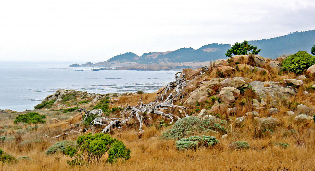 Обои картинки фото разное, компьютерный дизайн, природа