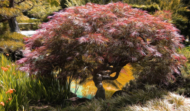 Обои картинки фото разное, компьютерный дизайн, дерево