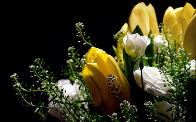Обои картинки фото цветы, разные вместе, желтый, белый