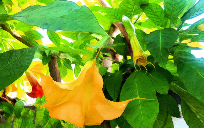 Обои картинки фото разное, компьютерный дизайн, цветы