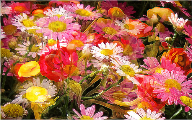 Обои картинки фото разное, - другое, цветы