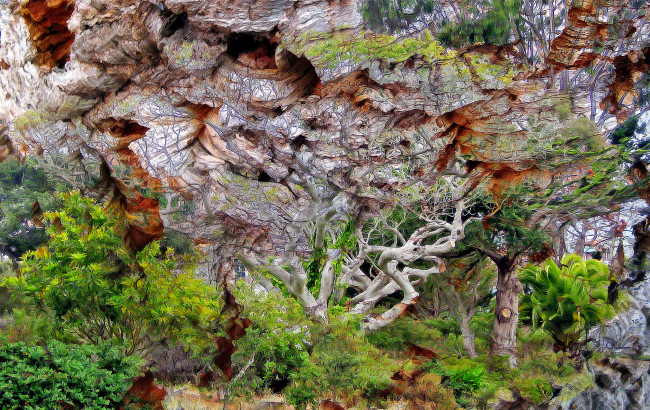 Обои картинки фото разное, компьютерный дизайн, природа