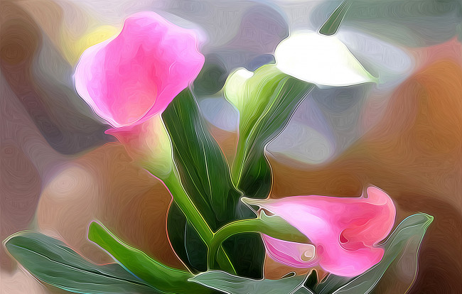 Обои картинки фото разное, компьютерный дизайн, цветы, каллы