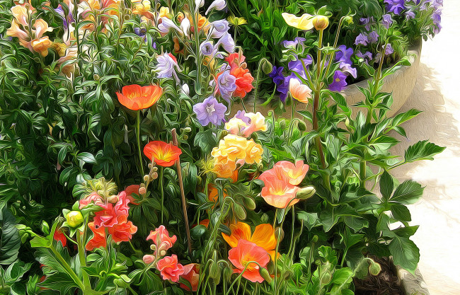 Обои картинки фото разное, компьютерный дизайн, цветы, разные, вместе