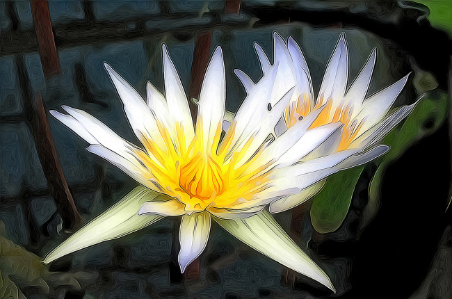 Обои картинки фото разное, компьютерный дизайн, лотос, кувшинки