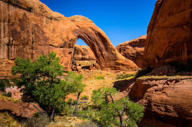 Обои картинки фото природа, горы, арка, деревья, скалы