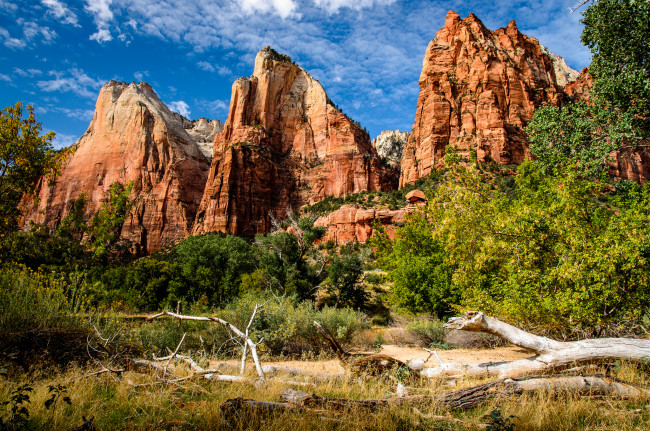 Обои картинки фото природа, горы, коряги, трава, луг, скалы