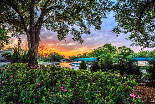 Обои картинки фото a quiet corner of 