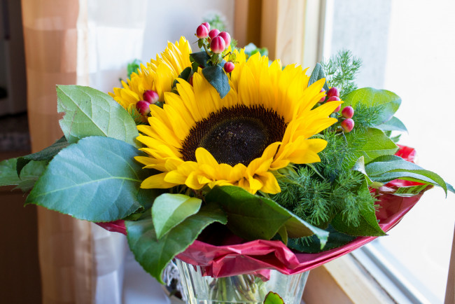 Обои картинки фото цветы, букеты,  композиции, букет