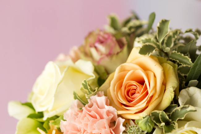 Обои картинки фото цветы, букеты,  композиции, гвоздики, розы