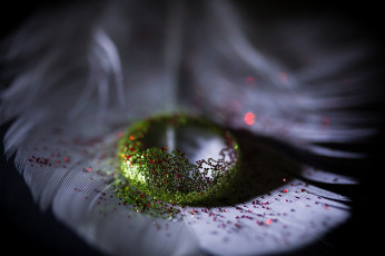 Картинка разное капли +брызги +всплески пёрышко капля блёстки блеск макро