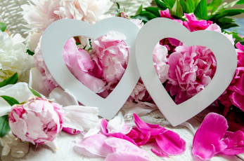 Картинка праздничные день+святого+валентина +сердечки +любовь пионы лепестки сердечки