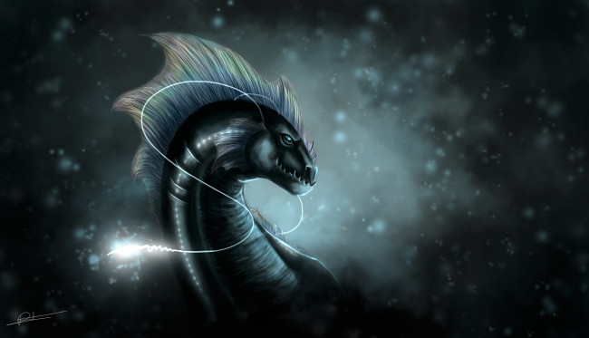 Обои картинки фото рисованное, животные,  сказочные,  мифические, фон, взгляд, дракон