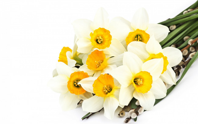 Обои картинки фото цветы, нарциссы, красота, свежесть, весна, tender, spirit, narcissus, нарцисс, веточки, beauty, букет, верба, листья, белые, нежное, настроение, freshness, spring, sprigs, pussy-willow, bouquet, leaves, white, flowers