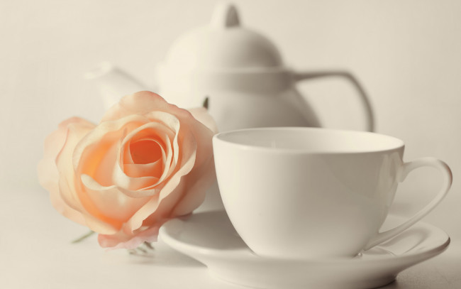 Обои картинки фото разное, посуда,  столовые приборы,  кухонная утварь, роза, чашка, чайник