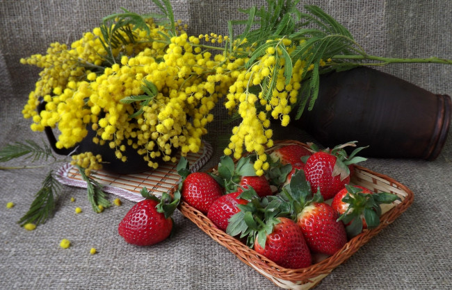 Обои картинки фото еда, натюрморт, мимоза, клубника, ягоды, ткань, мешковина, корзинка