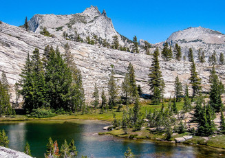 Картинка природа реки озера лес река