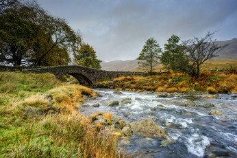 Картинка природа реки озера лес река