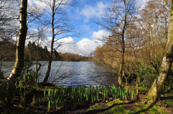 Картинка природа реки озера лес река