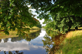 Картинка природа реки озера лес река