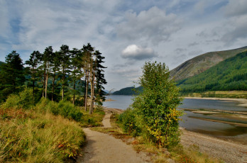 Картинка природа реки озера лес река