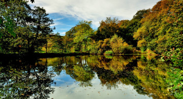 Картинка природа реки озера лес река