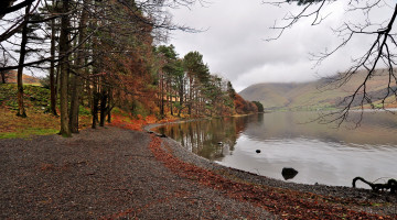 Картинка природа реки озера лес река