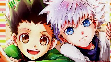 Картинка аниме hunter+x+hunter киллуа гон