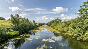 Картинка природа реки озера лес река