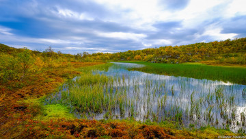 Картинка природа реки озера река лес