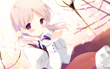 Картинка автор +shiratama аниме unknown +другое kiriyama sakura musubi