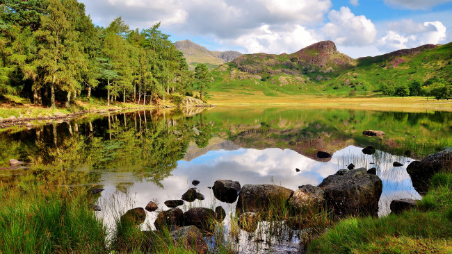 Обои картинки фото природа, реки, озера, лес, река