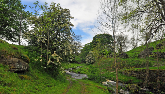 Обои картинки фото природа, реки, озера, лес, река