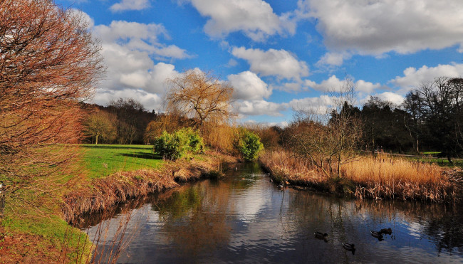 Обои картинки фото природа, реки, озера, лес, река