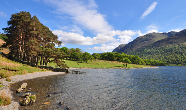 Обои картинки фото природа, реки, озера, лес, река