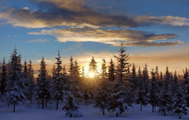 Обои картинки фото природа, восходы, закаты, рассвет