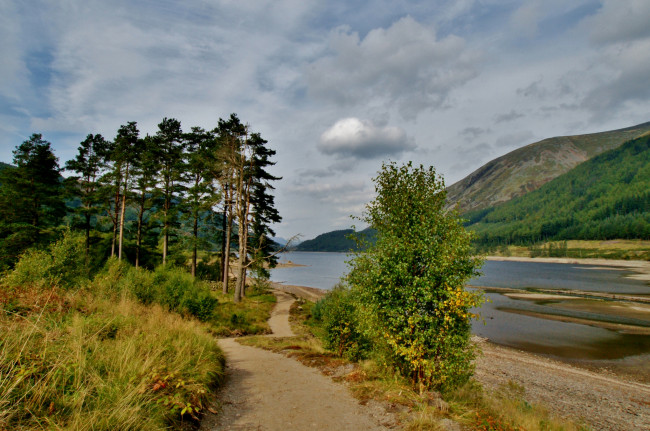 Обои картинки фото природа, реки, озера, лес, река