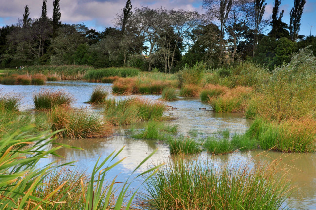 Обои картинки фото природа, реки, озера, лес, река